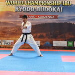 Karateka in a white gi and black belt performing a strong punch on a blue and pink tatami mat with a championship banner in the background.
