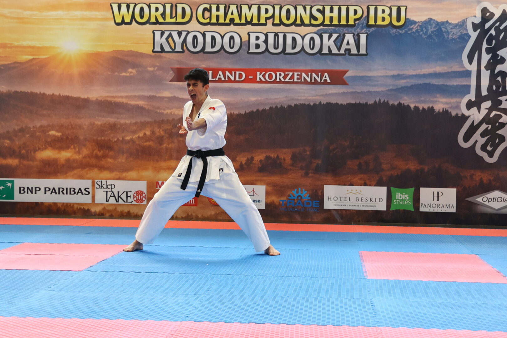 Karateka in a white gi and black belt performing a strong punch on a blue and pink tatami mat with a championship banner in the background.