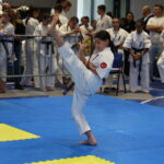 Young girl in a karate gi performs a high kick during a tournament, with spectators in white uniforms watching behind a barrier.