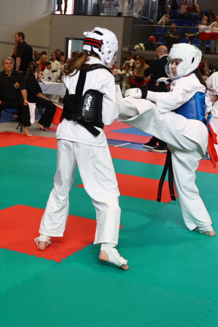 Two martial artists in white uniforms spar on green and red mats; one delivers a kick to the other's chest while wearing headgear and chest protector, with spectators watching in the background.