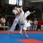 Two martial artists in white gis spar on a blue-red mat; one throws the other as a crowd of spectators and officials watches in a gymnasium.