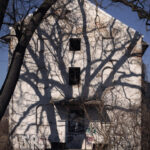 Abandoned white building with graffiti on the lower wall, shadows of large bare tree branches across its façade.