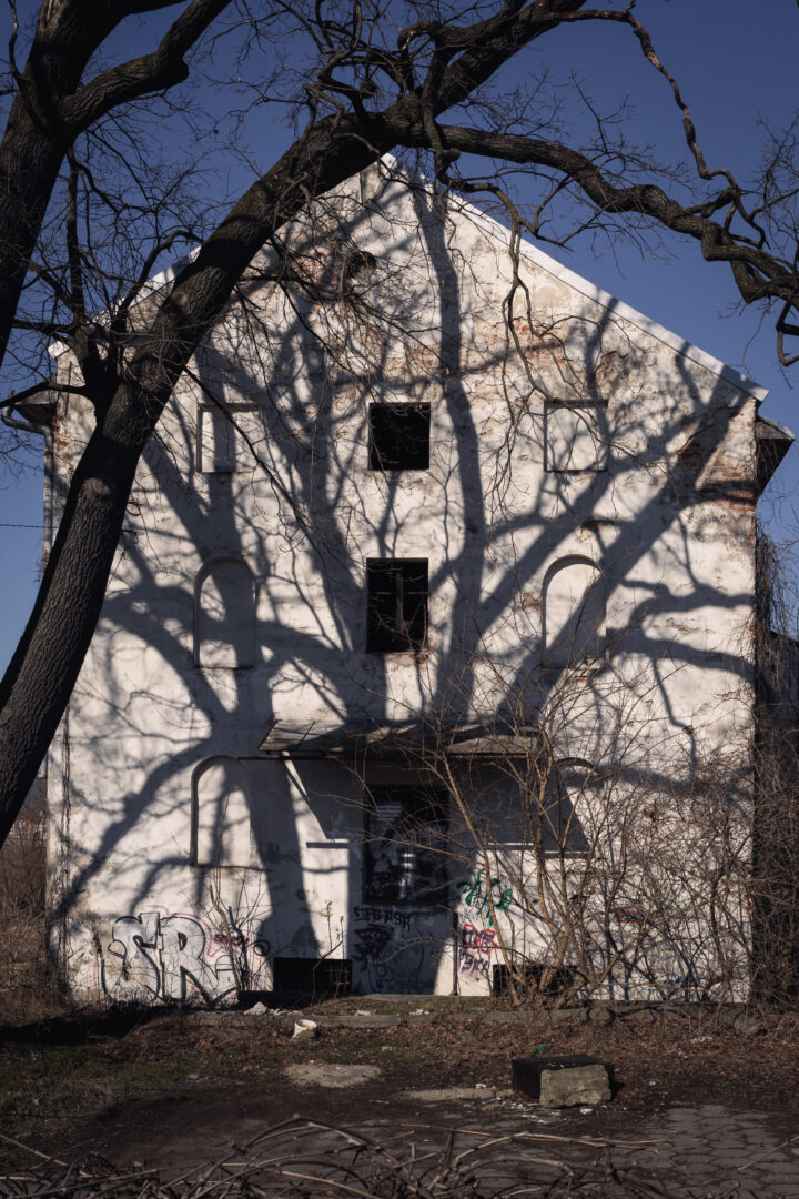 Abandoned white building with graffiti on the lower wall, shadows of large bare tree branches across its façade.