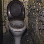 Abandoned toilet in a dilapidated bathroom with peeling paint and debris on the floor and walls around it.