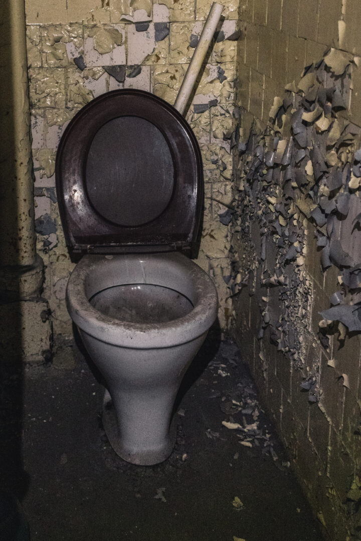 Abandoned toilet in a dilapidated bathroom with peeling paint and debris on the floor and walls around it.