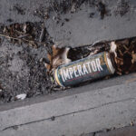 A spray paint can labeled 'IMPERATOR' lying in a curb crack among dirt and fallen leaves on a dirty sidewalk pavement.