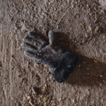 Black glove lying on dirt ground with small leaves scattered around it outside. (informative)