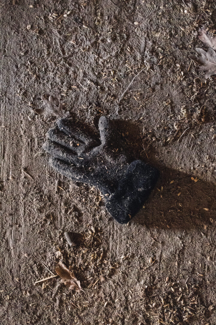 Black glove lying on dirt ground with small leaves scattered around it outside. (informative)
