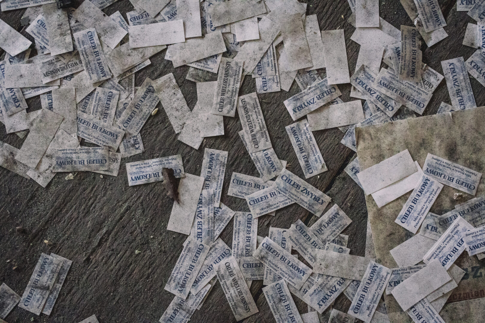 Scattered weathered paper labels on a dark wooden floor, many printed with blue text saying 'CHLEB BULKOWY'.