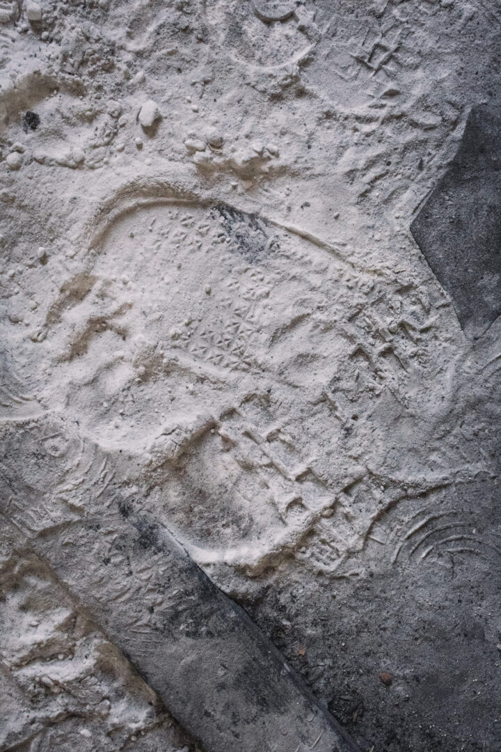 Fossilized shell-like imprint in light stone, with a curved outline and dot-pattern interior