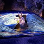 Deer sticking its head through a shattered windshield in a car during a nighttime emergency scene with blue lights nearby.