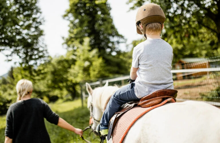 Ogólnopolski Dzień Koni – pasja, edukacja i wyjątkowe miejsca w Nawojowej