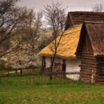 Thatched-roof cottage with white plaster wall and stacked firewood beside a weathered wooden fence in a spring clearing.