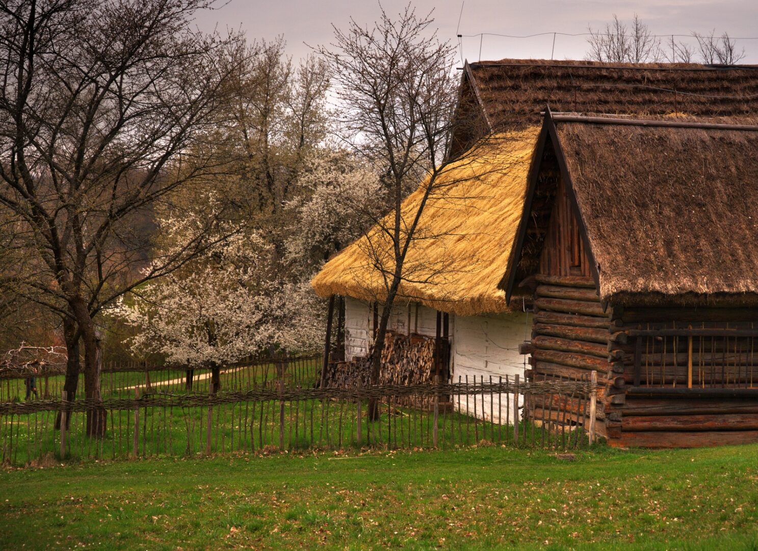 Thatched-roof cottage with white plaster wall and stacked firewood beside a weathered wooden fence in a spring clearing.