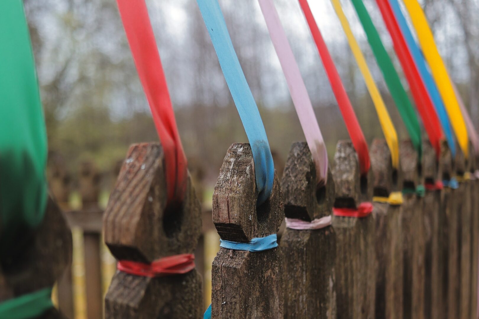Row of weathered wooden fence posts with colorful ribbons tied around them, stretching across the foreground in an outdoor setting.