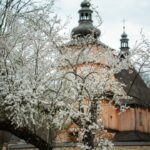Spring scene with white blossoms on a tree in the foreground and a wooden church with onion domes in the background.