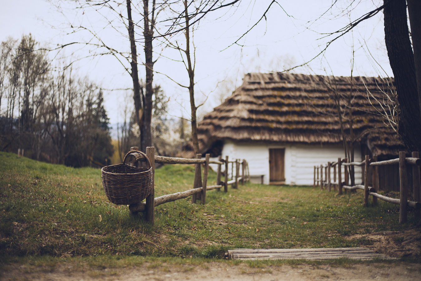 Thatched-roof cottage with white walls along a grassy path, next to a wooden split-rail fence and a wicker basket on the gate post.