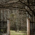 Through a rustic wooden gate into a grassy yard, a stone cross monument stands among bare trees in a wooded area.