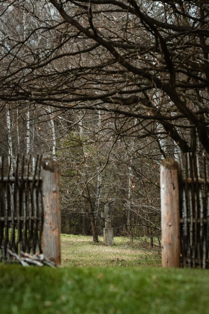 Through a rustic wooden gate into a grassy yard, a stone cross monument stands among bare trees in a wooded area.