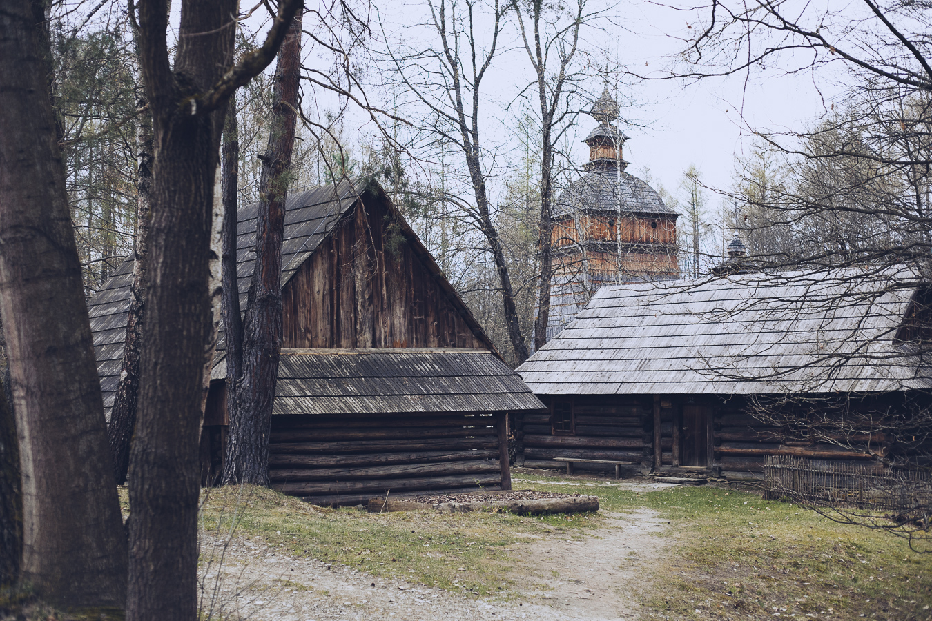Cluster of weathered wooden cabins among leafless trees; a wooden church tower visible in the distance.