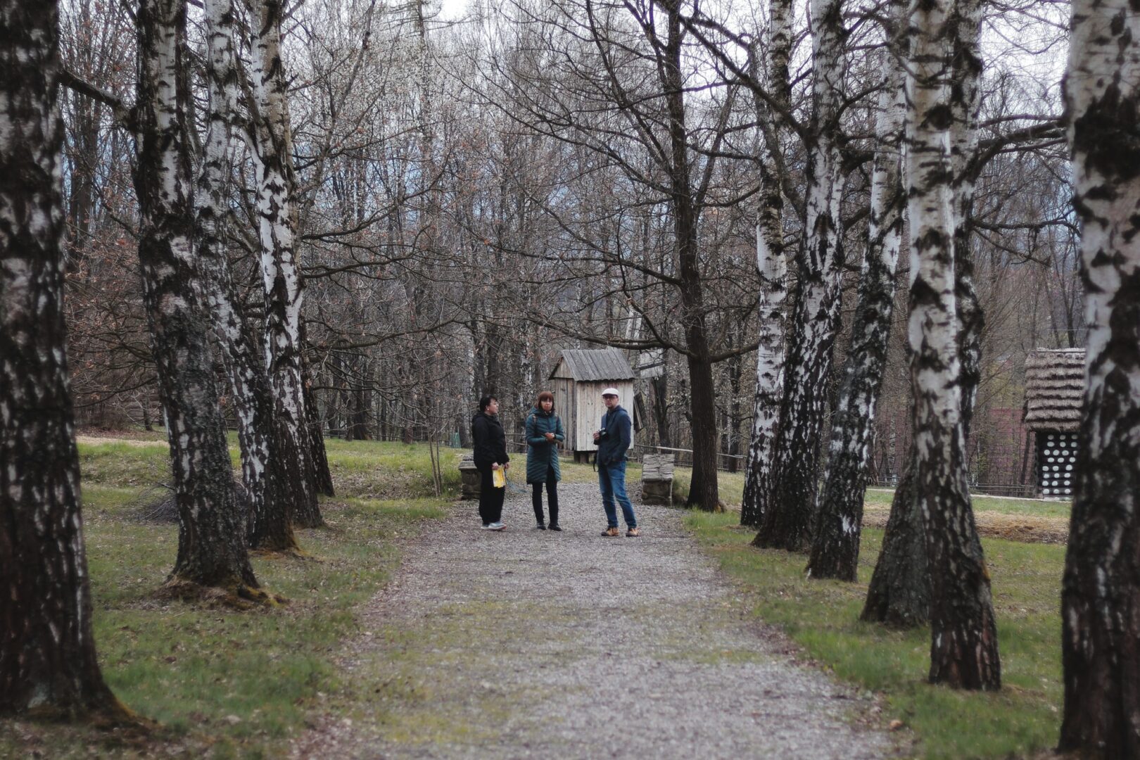 Three people conversing on a gravel path lined with birch trees in a park, with a small wooden shed in the background.