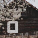 Dark wooden cottage with a small square window framed in white, behind a wooden picket fence and blurred flowering branches in the foreground.