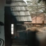 View through a doorway to a weathered wooden shed with a gray shingled roof and leafless trees beyond.