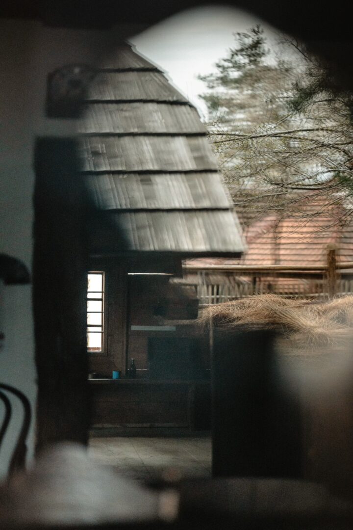 View through a doorway to a weathered wooden shed with a gray shingled roof and leafless trees beyond.