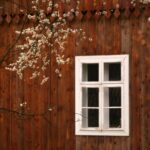 White-framed window on a wooden wall with blooming branches in the foreground.