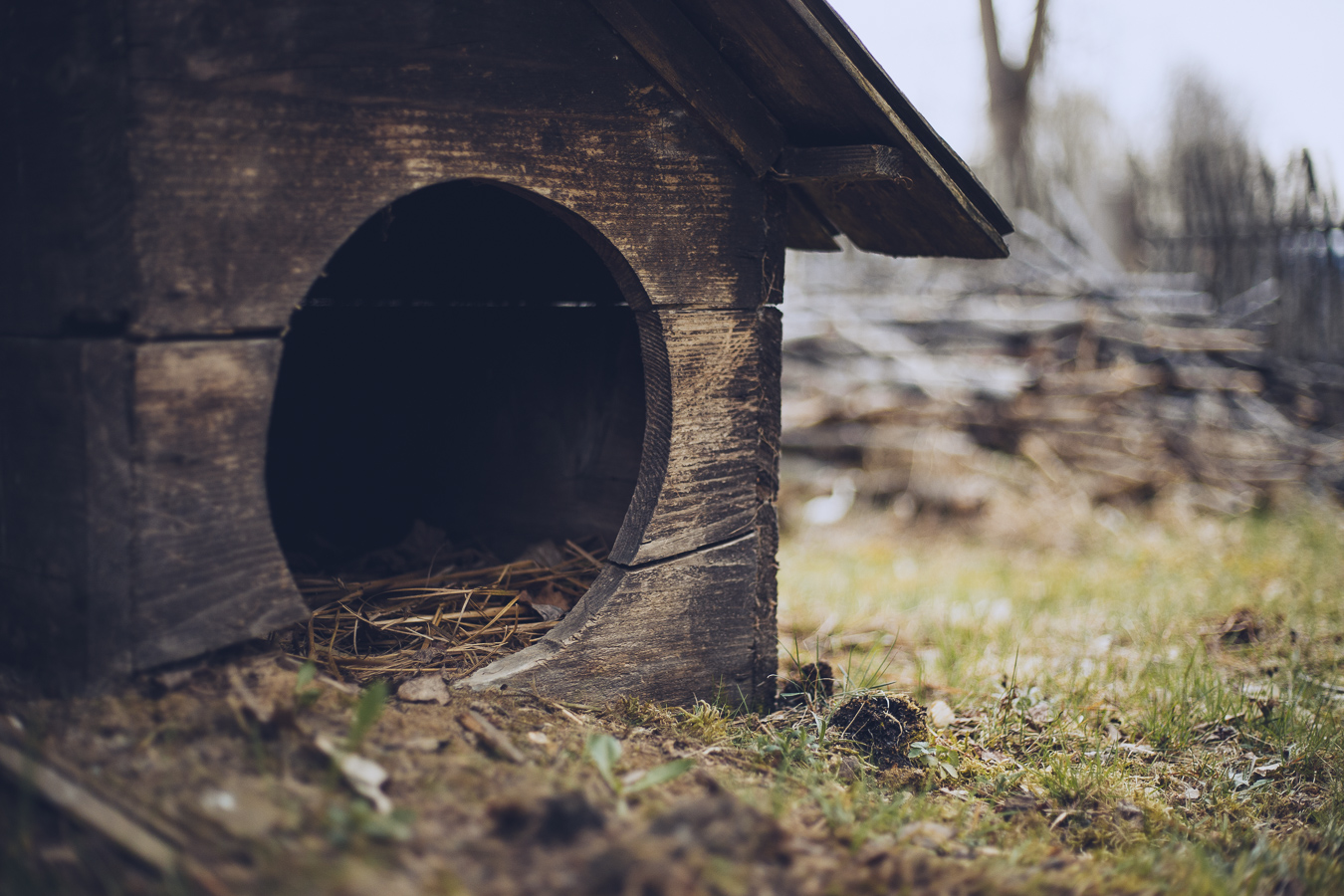 Weathered wooden doghouse with straw inside, circular entrance, outdoors on dirt and grass area.