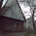 Rustic log cabin with a stone foundation, surrounded by flowering spring trees.