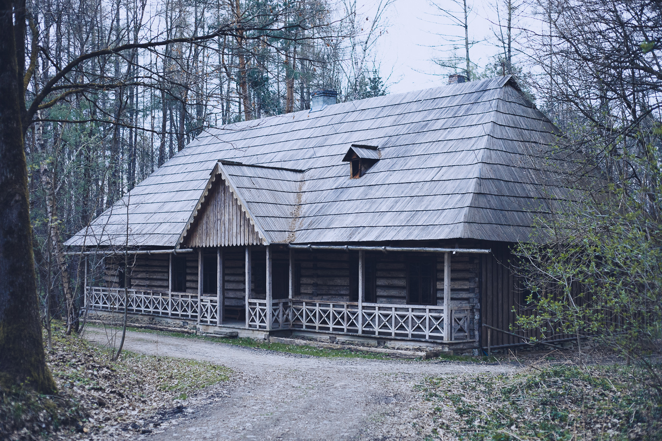 Rustic wooden cabin in a leafless forest, featuring a wraparound porch and a steep shingled roof.