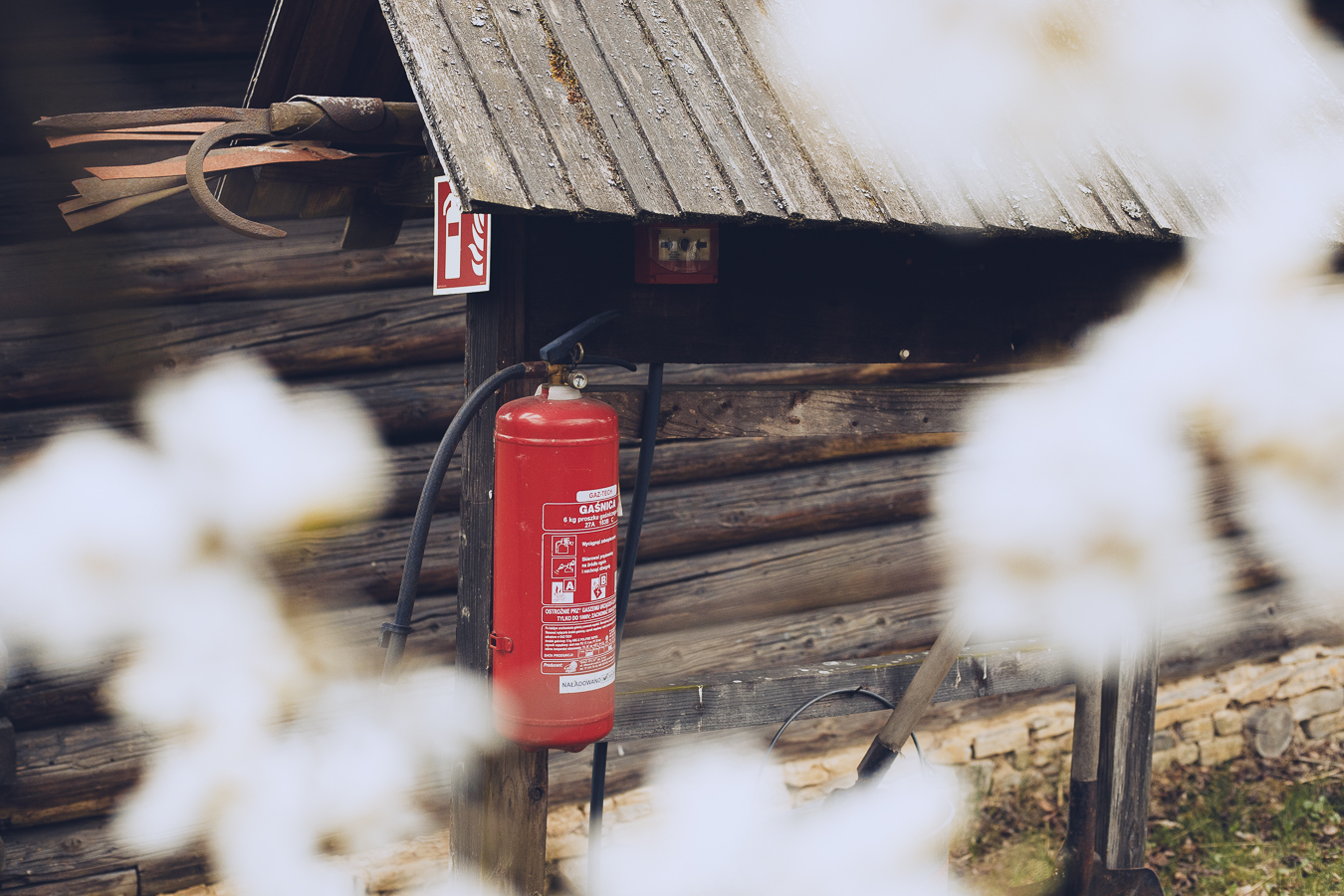 Red fire extinguisher mounted on a wooden post beside a rustic log cabin, with blurred white flowers in the foreground.