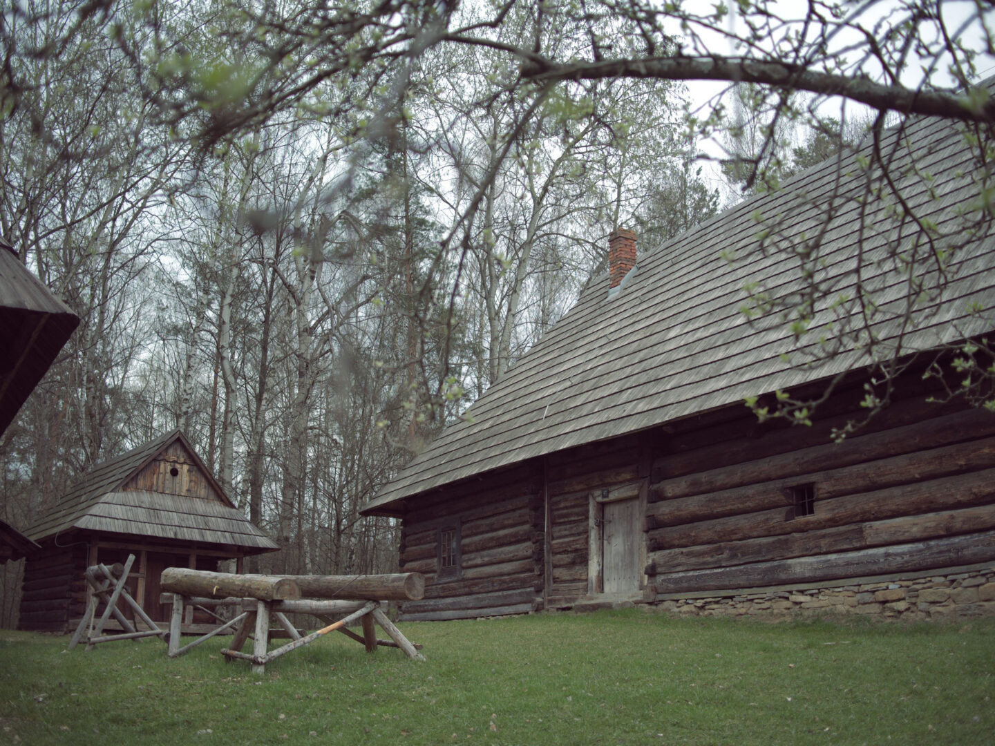 Rustic wooden cabins in a grassy clearing with a log fence and a small shed, surrounded by leafless trees in a forested area.