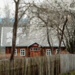 Rustic wooden house with a gray metal roof behind a weathered wooden fence and blooming trees.