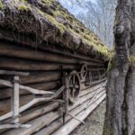 Log cabin with a mossy thatched roof, weathered wooden logs, and old farming implements leaning against the wall beside a tree trunk in a rural setting