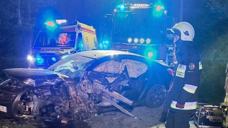 Niespokojna noc dla służb! Tęgoborze: samochód roztrzaskał się na drzewie