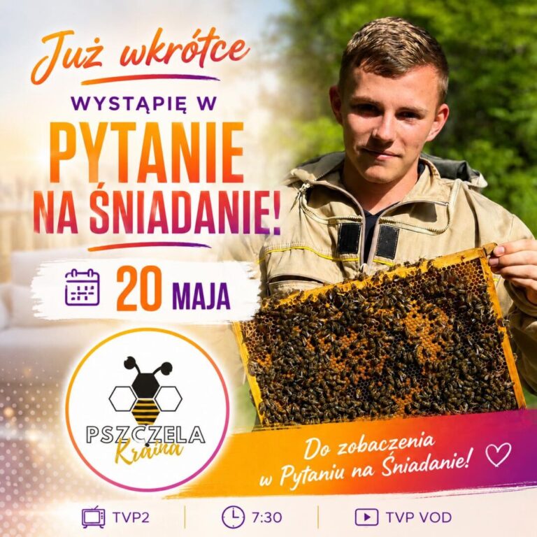 „Pszczoły to nie tylko żądło”. 19-latek z Sądecczyzny opowie o świecie ukrytym wewnątrz ula
