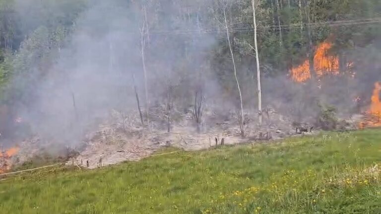 Limanowa. Pożar objął 20 arów lasu
