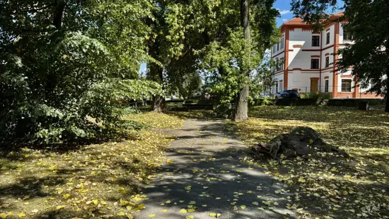 Zielony teren przy sądeckim dworcu idzie pod młotek. Co dalej z „kolejarskimi plantami”?