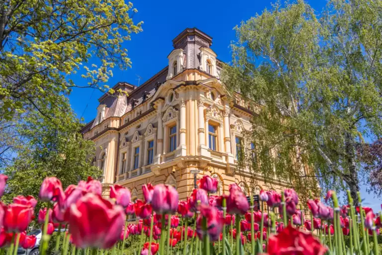 Nowy Sącz. Za krew w ratuszu – bilet na basen