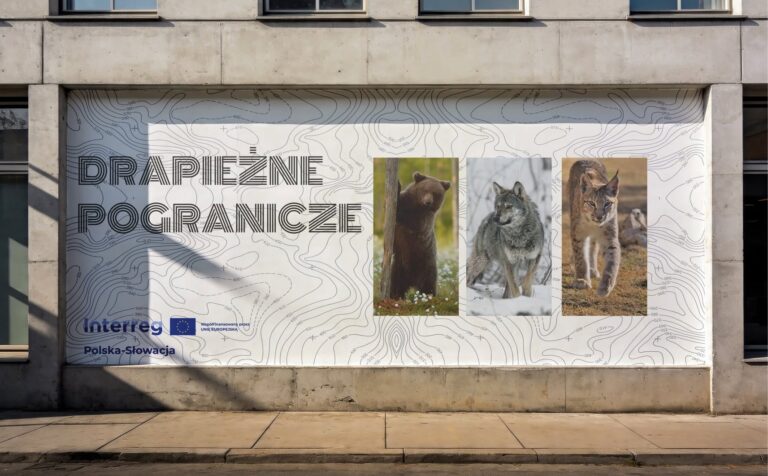 Chcesz drapieżny mural na swojej ścianie? Zgłoszenia do dziś