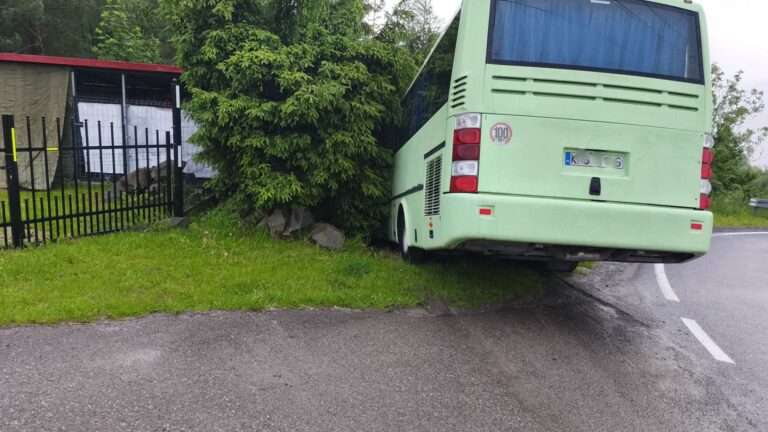 Miłkowa. Autobus na zakręcie wypadł z drogi