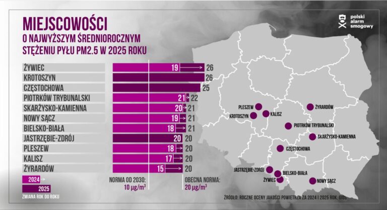 Nowy Sącz wśród smogowych rekordzistów. Jest gorzej